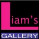 Liam's Gallery