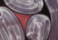 Crystal Visions in Art Crystal Visions in Art