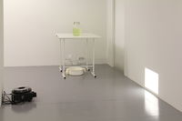 Kabinettausstellung Kabinettausstellung