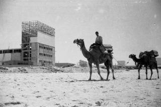 Israel Before Israel—Photographs by Ze’ev Aleksandrowicz 1932–1936