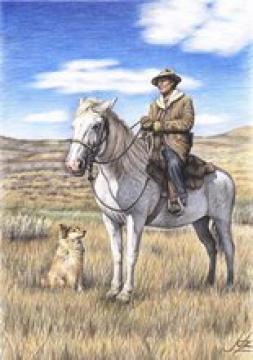 Montana Shepherd