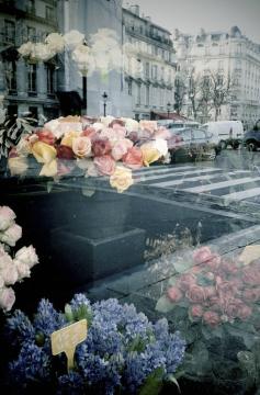 Paris reflection