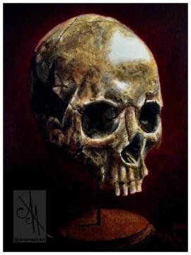 10037-skl01 - Oil Painting - Skull on a stand, 1