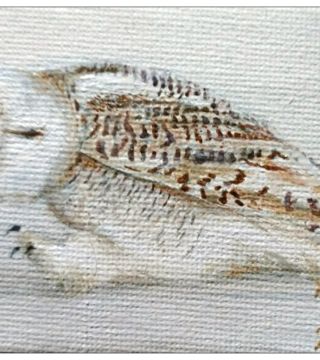 10031-mwowl - Oil Painting - Walking Owl