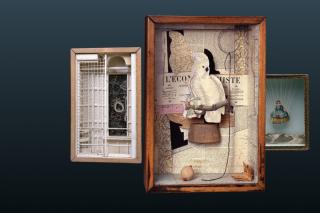 Private Tour for Wheelchair Users and Mobility Impaired Visitors - Joseph Cornell