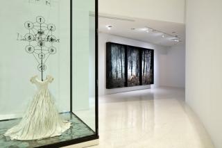 Installation Image at NSU Art Museum Fort Lauderdale. Photo by Steven Brooke Studios