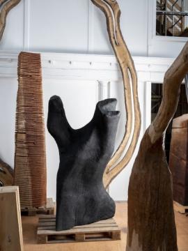 David Nash: Sculpture Through the Seasons