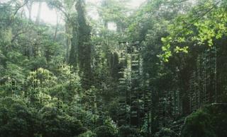 Monica Ursina Jäger. Shifting Topographies