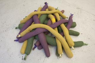 Barry Flanagan: Animal, Vegetable, Mineral