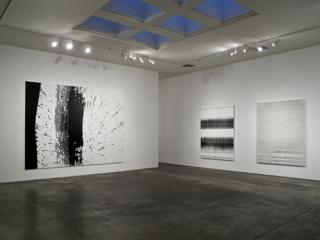 Untitled (green negative), 2011, oil on canvas, triptych: 102-1/4 x 133-3/4 inches, 260 x 340 cm, SSH081