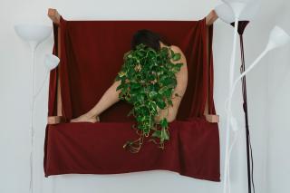 Object and Reflex