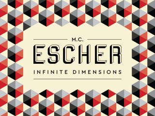 M. C. Escher: Infinite Dimensions