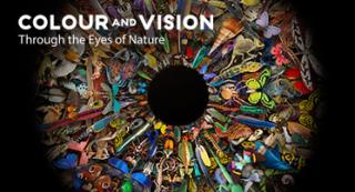 Colour and Vision exhibition