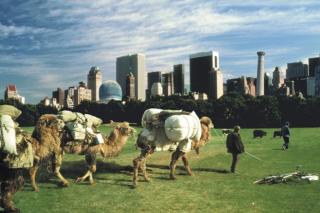 Witnesses of the Future, Islamic Project, Central Park