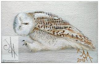 10031-mwowl - Oil Painting - Walking Owl