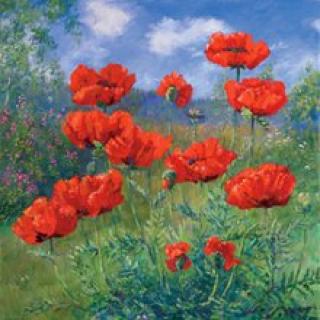 Poppies