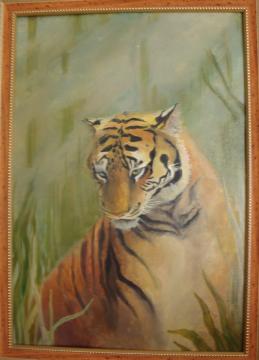 tiger