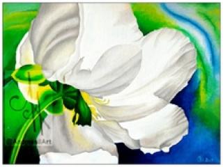 10011-wflwr - Oil Painting - White Flower