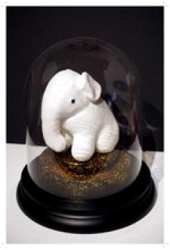 Cabinet of curiosities series - Animalia .  Elephantidae.