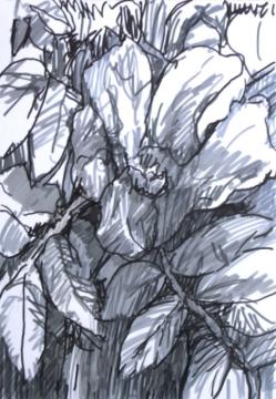 Paper rose