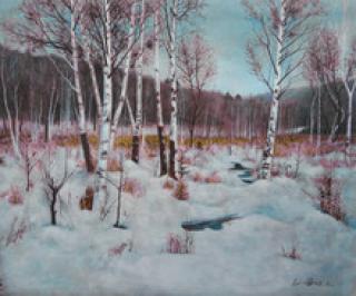 white birch and snow
