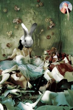Falling into the White Rabbit hole