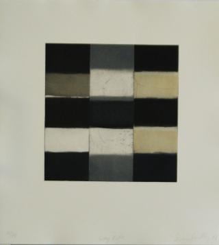 Grey Robe Sean Scully