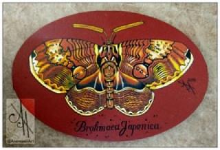 10043-btf01 - Oil Painting - Butterfly, 1