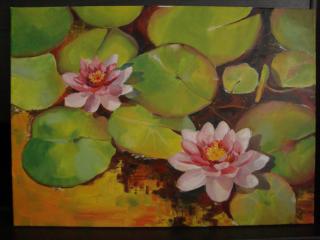 waterlily