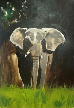 Study of an elephant