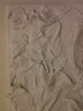 New Work behind the magnolia curtin