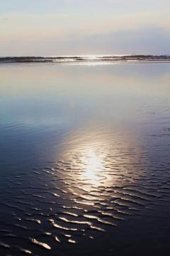 Sand soaked sun