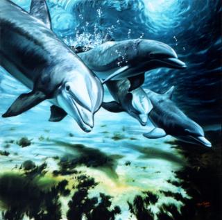 Dolphin's family