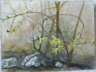 spring