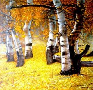 auturmn scenery