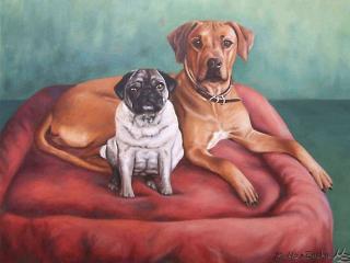 Ridgeback & Pug