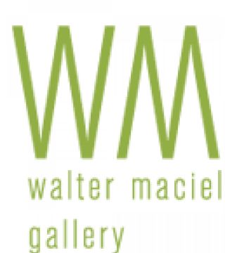 Walter Maciel Gallery