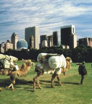 Witnesses of the Future, Islamic Project, Central Park