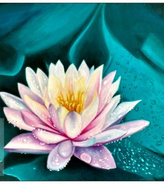 10034-wtrfl - Oil Painting - Lotus Blossom