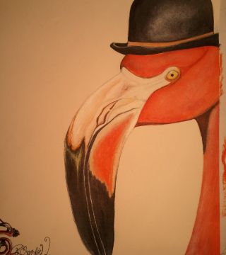 Flamingo With Hat