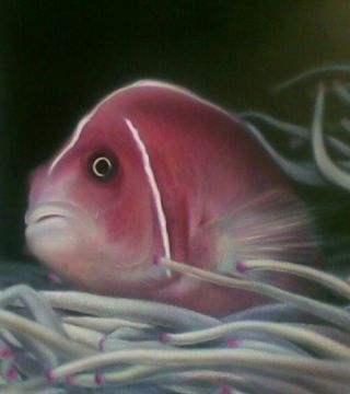 fish