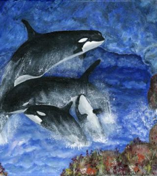 Orcas Family Frolicks