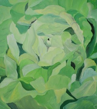 La testa verde