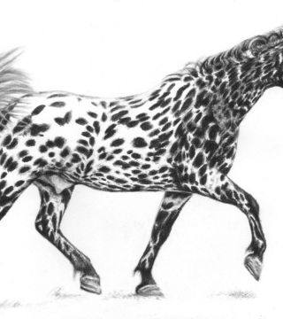 Painted Horse