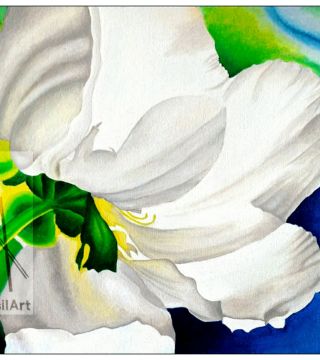 10011-wflwr - Oil Painting - White Flower
