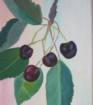 cherries 2