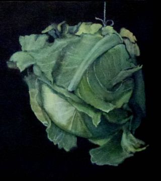 Cotan's Cabbage