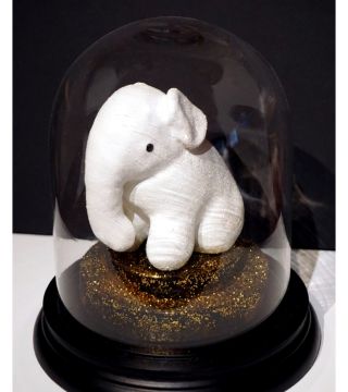 Cabinet of curiosities series - Animalia .  Elephantidae.