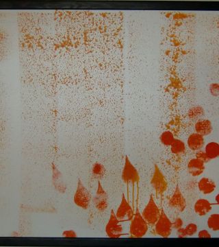 Orange Leafs