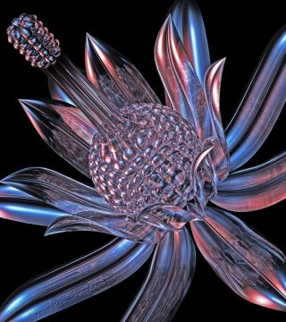 Crystal Blossom